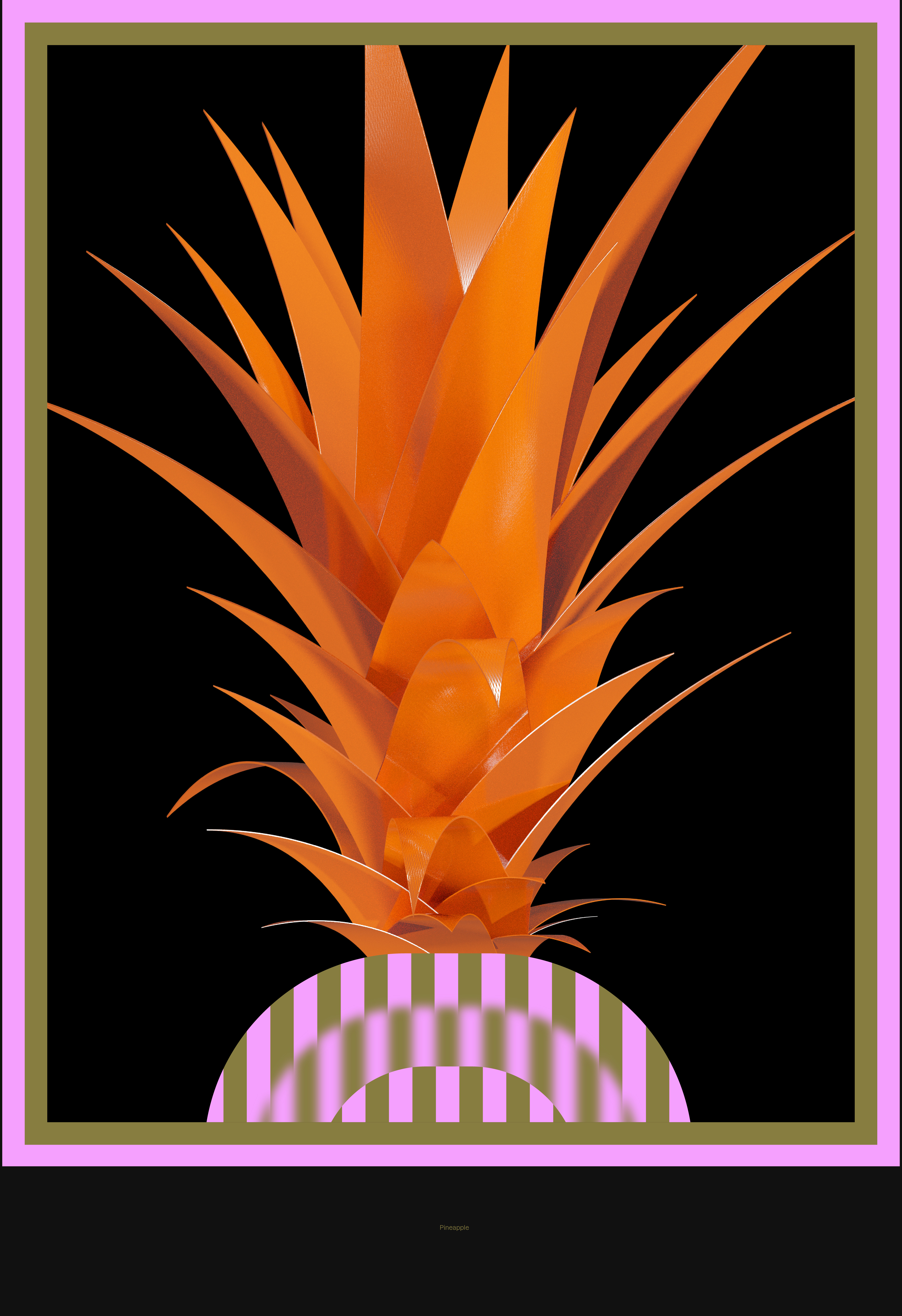 daniëlroozendaal_portfolio2023_ananas2.jpg