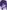prince_web_new.jpg
